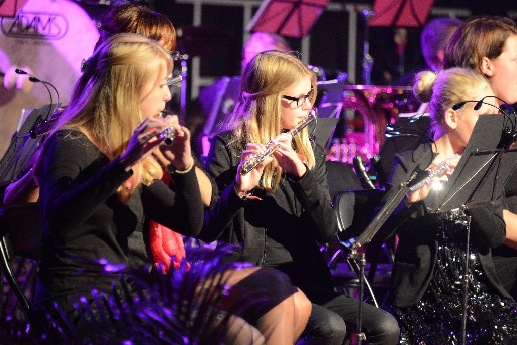 ../Images/Jubileumconcert 100 jaar Harpe Davids 123.jpg